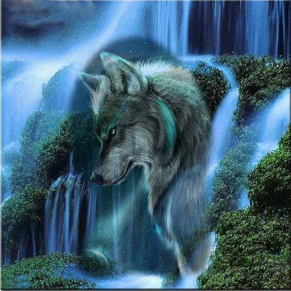 Night Wolf Diamond Painting