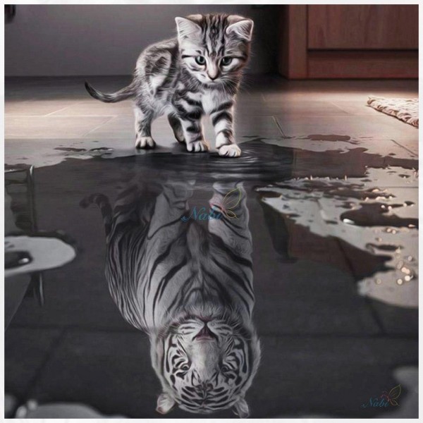 Kitten and Tiger Reflection Diamond Painting Kit